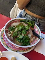 Duck Pho